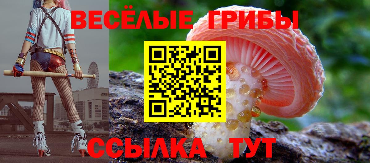 Галлюциногенные грибы MAGIC MUSHROOMS Партизанск