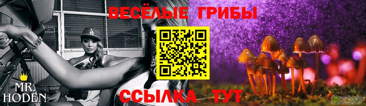 хочу   Псилоцибиновые грибы MAGIC MUSHROOMS  Галлюциногенные грибы ЛСД  Вход с VPN  Партизанск 